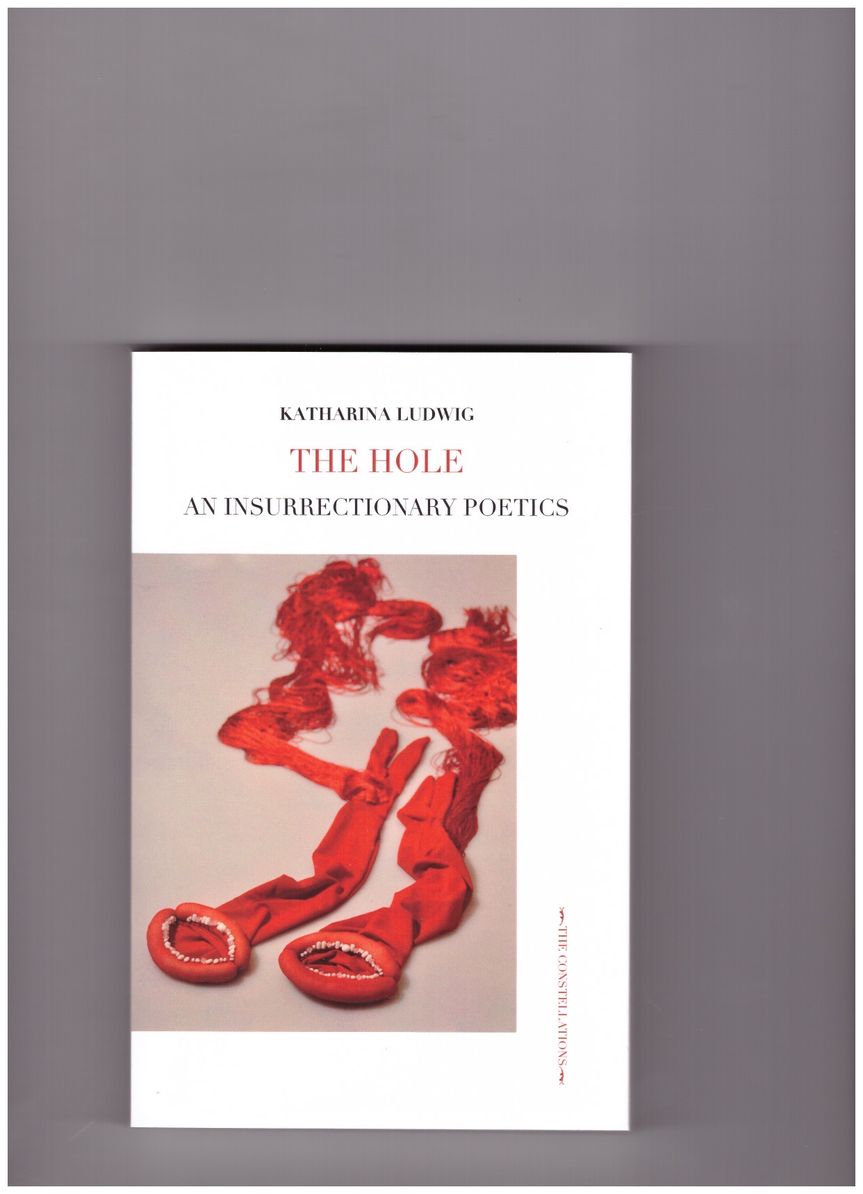 LUDWIG, Katharina - The Hole. An Insurrectionary Poetics